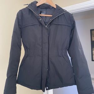 Theory Shorty Puffer Coat P Barely Worn worth $500